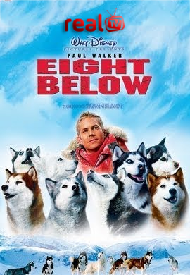 Eight Below